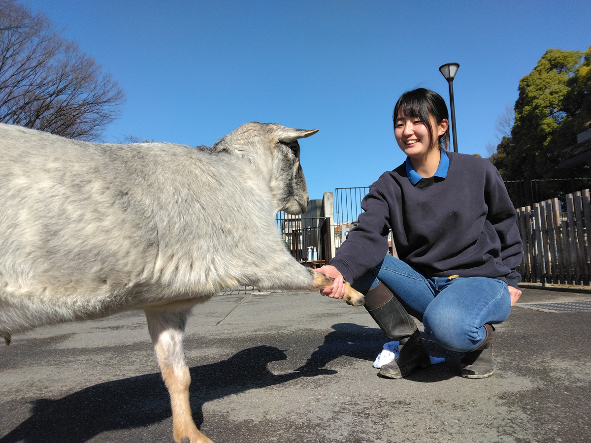 ヤギの前脚を優しく握り、笑顔でしゃがむスタッフの女性。晴れた屋外施設にて。
