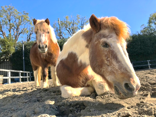 碑文谷 アーカイブ 3ページ目 6ページ中 公益財団法人ハーモニィセンター
